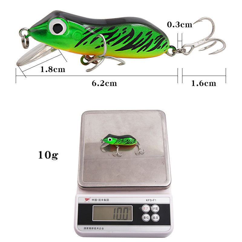 XY-605 5Pcs / Set Topwater Frog Fishing Lure Hard ABS Imitation Frog Crankbait Tackle with Dual Hooks