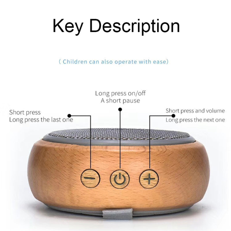 BT810 Mini Size Portable Beech Speaker Wireless Bluetooth Connectivity 5W Music Player Subwoofer