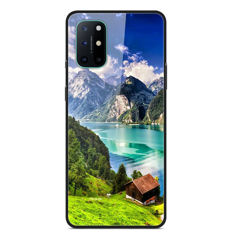 Pattern Printing Glass + TPU + PC Combo Casing Cover for OnePlus 8T