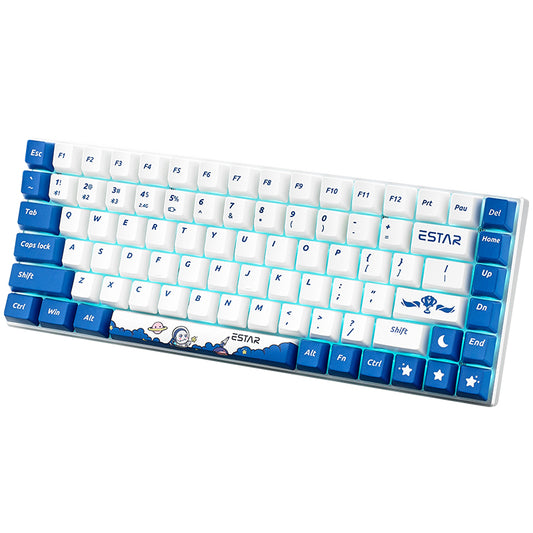 RAPOO V700-8A Multi-Mode Wired Wireless Keyboard 84 Keys Mechanical Gaming Keyboard with Backlit (eStarPro Co-Branded)