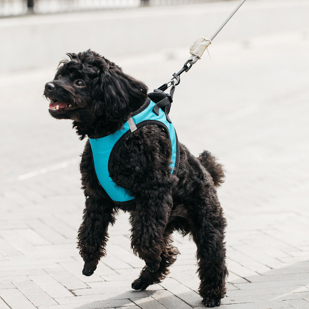 YOUPIN JORDAN&JUDY PE073-L Reflective Pet Vest Puppy Dog Harness - Blue