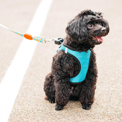 YOUPIN JORDAN&JUDY PE073-L Reflective Pet Vest Puppy Dog Harness - Blue