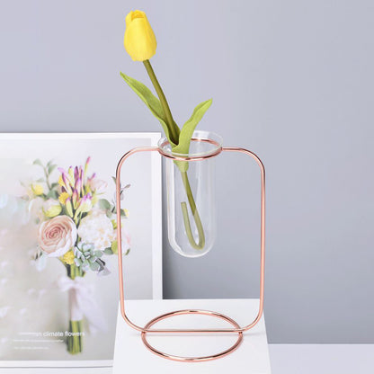 Glass Test Tube Planter Hydroponic Plant Flower Vase with Iron Stand, Size S