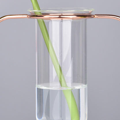 Glass Test Tube Planter Hydroponic Plant Flower Vase with Iron Stand, Size S