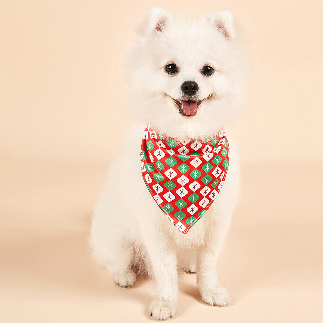 Christmas Dog Bandanas Pet Bib Bandanas Pet Scarf Washable Dog Bib Costume [Size: S]