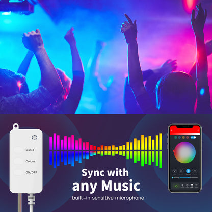 YJSL-I 10m 100 LED USB Powered Tuya WiFi Bluetooth Remote Voice Control Copper Wire Light String RGB Music Sync Festival Party Decor