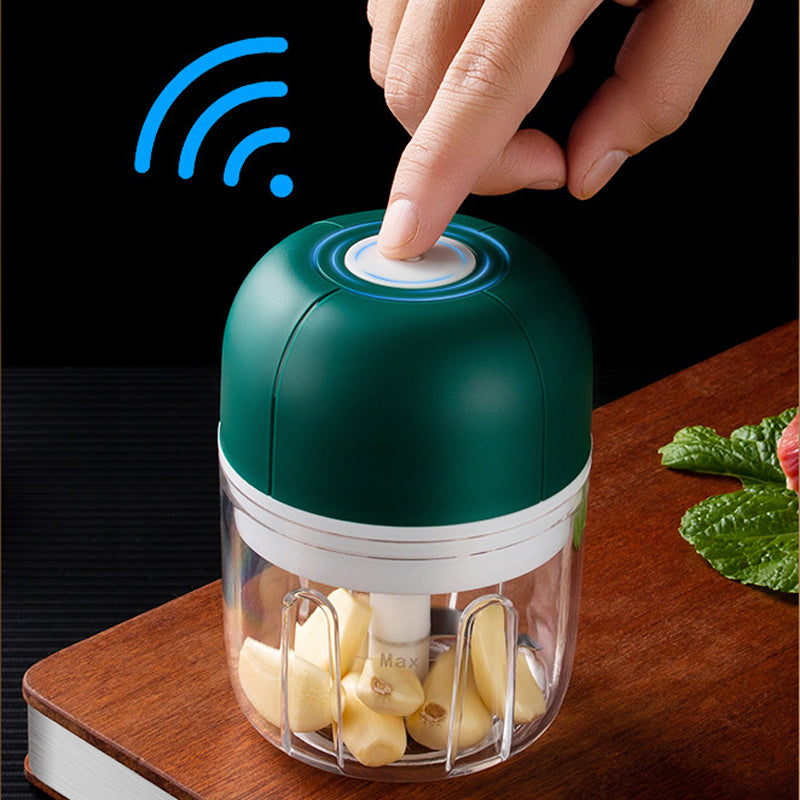 100ml Mini USB Charging Garlic Chopper Kitchen Vegetable Ginger Masher Crusher (BPA Free, without FDA Certificate)