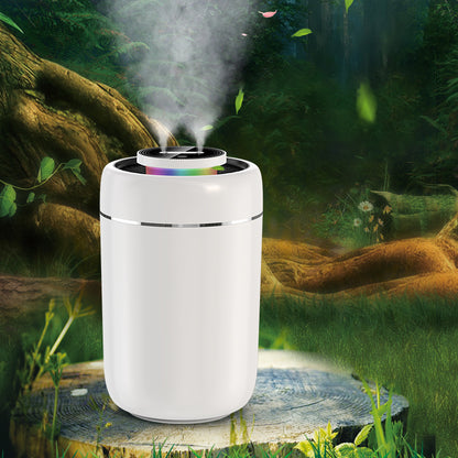 X13 3L Large Capacity Auto Power-off Double Nozzles Humidifier Mute Fine Mist Diffuser Sprayer with LED Light