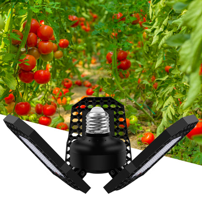 144 LEDs Greenhouse Hydroponic System SMD 2835 E27 Plant Growth Lamp Indoor Plant Light