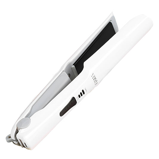 2 in 1 Hair Straightener Flat Aluminum Alloy 3 Temperature Levels Hair Curler for Hair Style