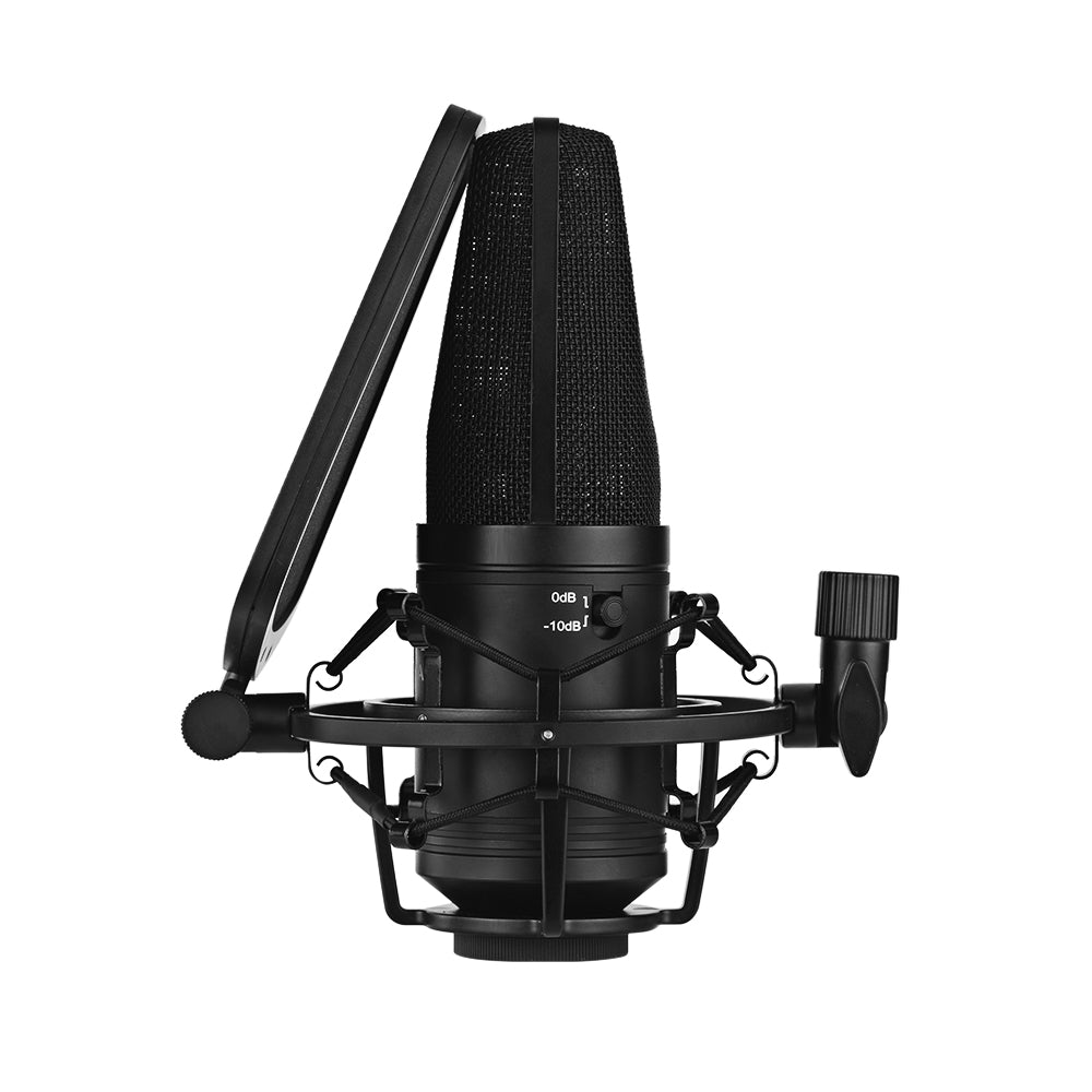 BOYA BY-M1000 Condenser Microphone Large Diaphragm 3 Polar Patterns for Singer Songwriter Podcaster