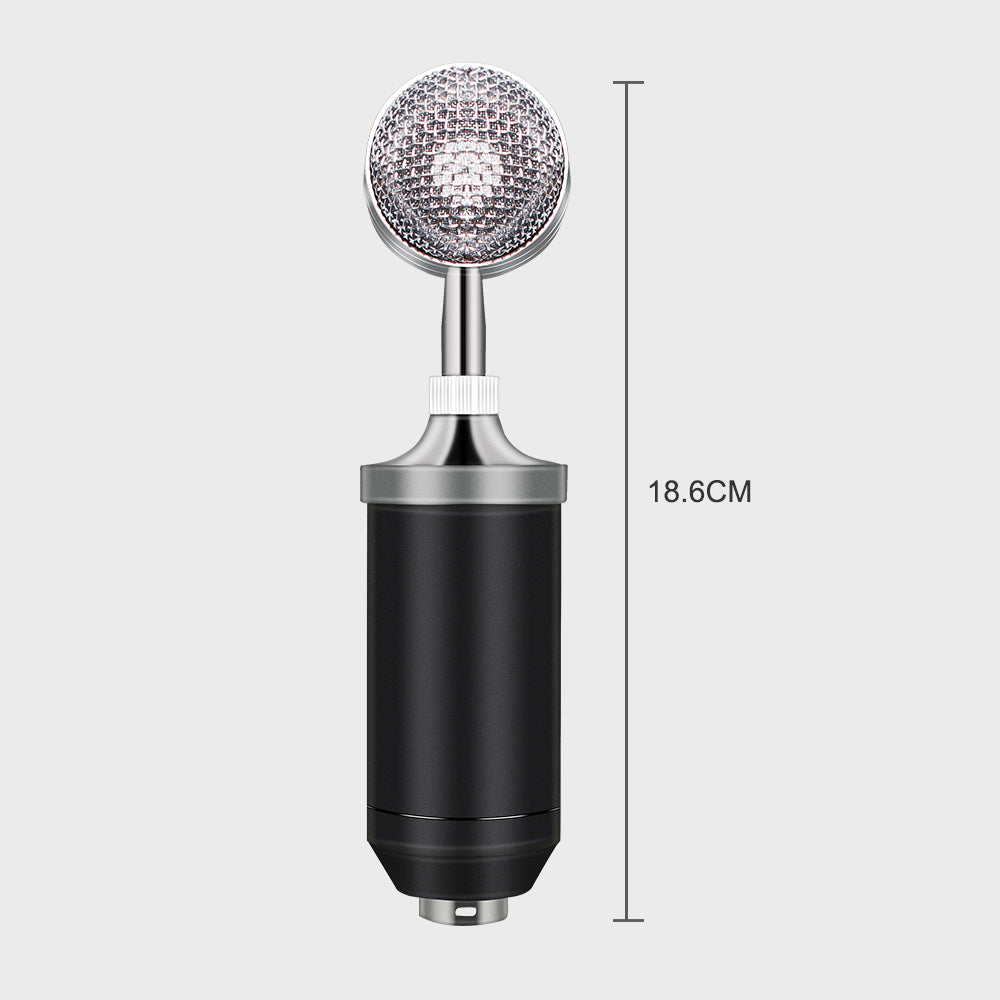 BM-8000 Condenser Microphone 3.5mm Wired Karaoke Recording Computer Microphone