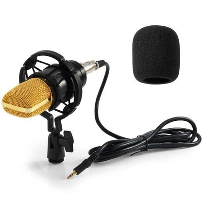 BM-700 Condenser Microphone Set Universal Recording Microphone