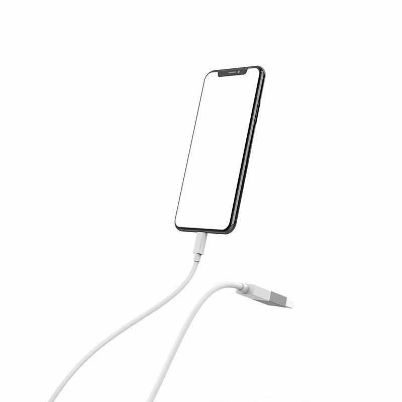 LENTION H2 USB-C Female to USB-A Male Charger Adapter Converter