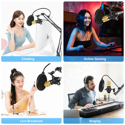 PULUZ PU612B Professional Studio Condenser Microphone USB Sound Card Set with Folding Arm Stand/Shock Mount for Live Streaming Recording Songs