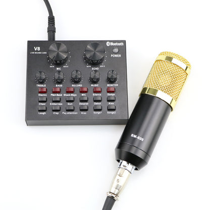 BM800 Professional Suspension Condenser Microphone Kit for Studio Live Stream Broadcasting Recording