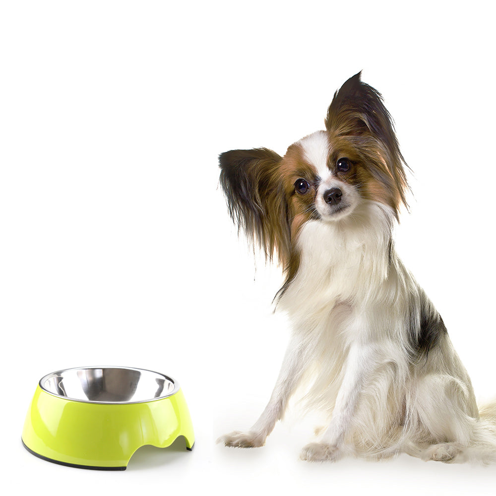 Heavy Duty Melamine Non-skid Pet Bowl for Dogs and Cats