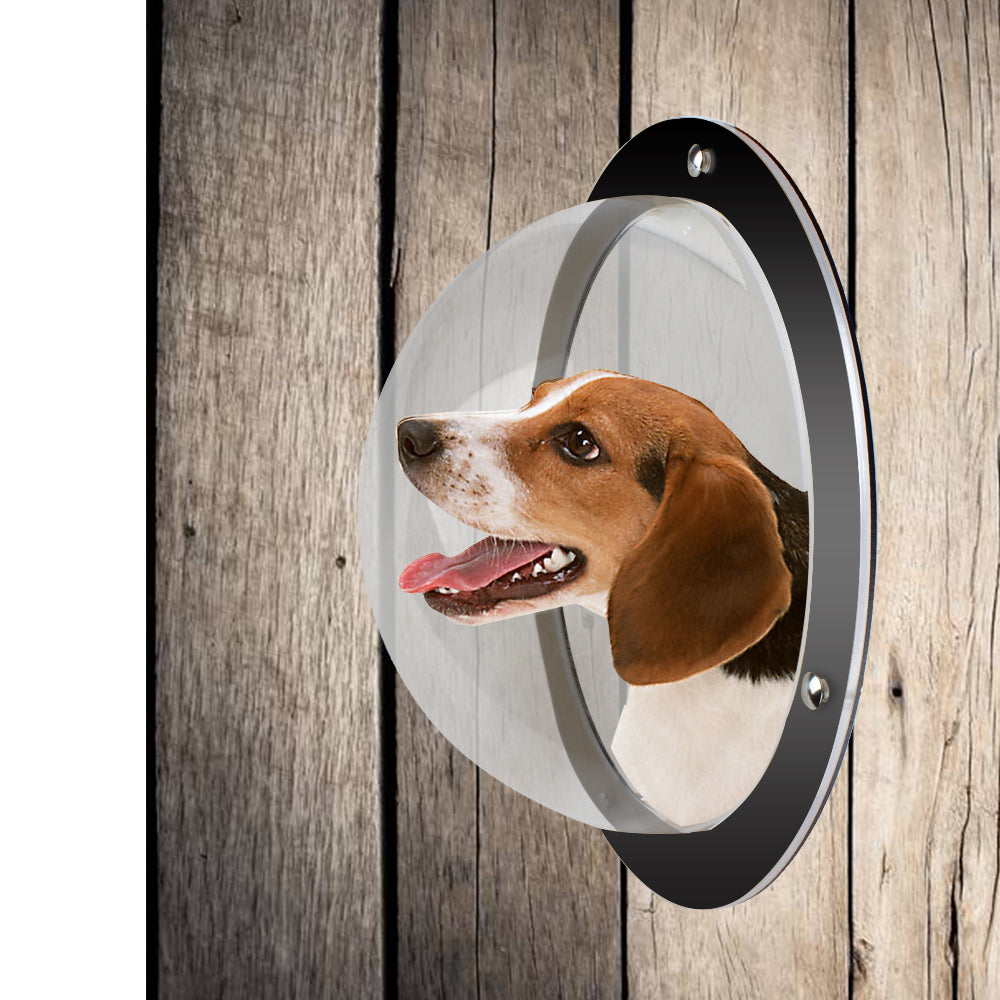 2PCS / Pack Pet Dog Fence Peek Window Acrylic Dome Window